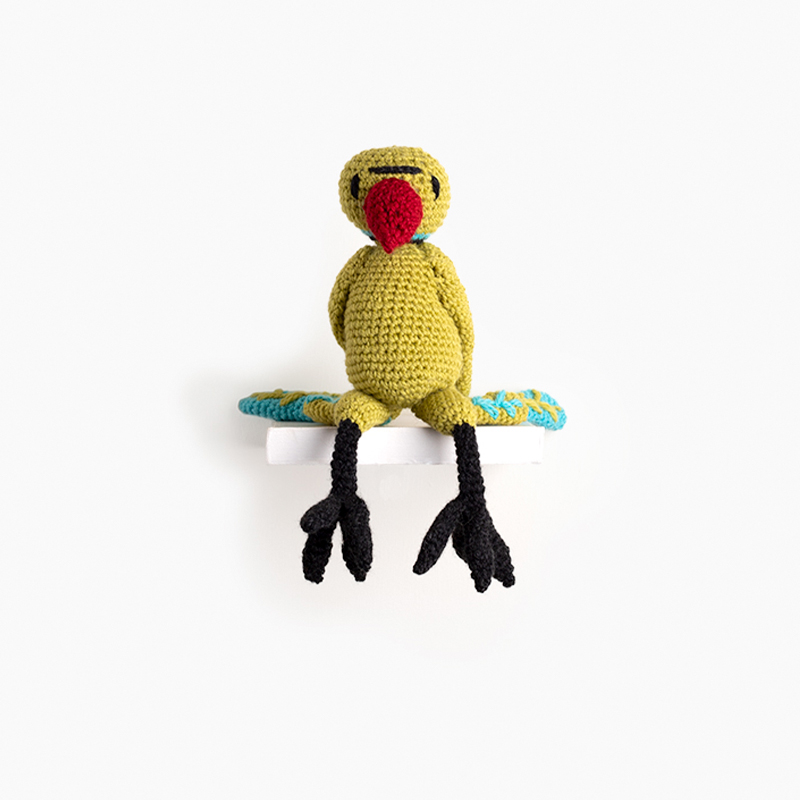 Remi the rose-ringed paraket